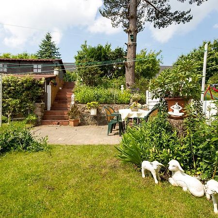 Apartament Ruegenurlaub 1 Bergen Auf Rugen Pokój zdjęcie
